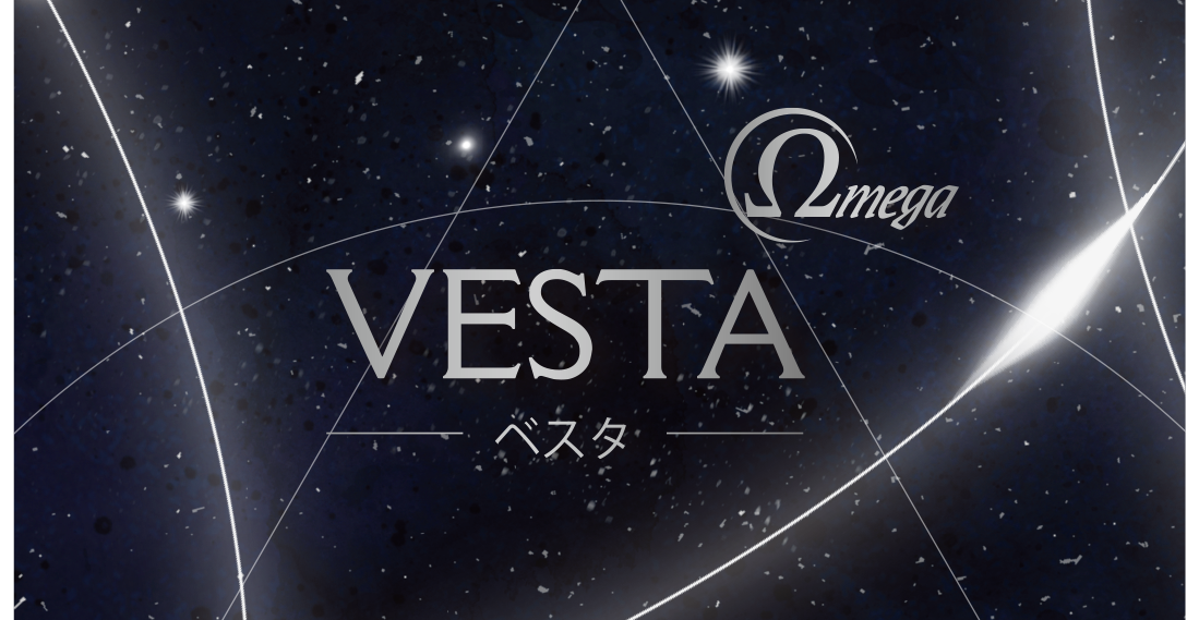 NOBUNAGALabs VISION　VESTA-Omega （ベスタ-オメガ） 2pinリケーブル